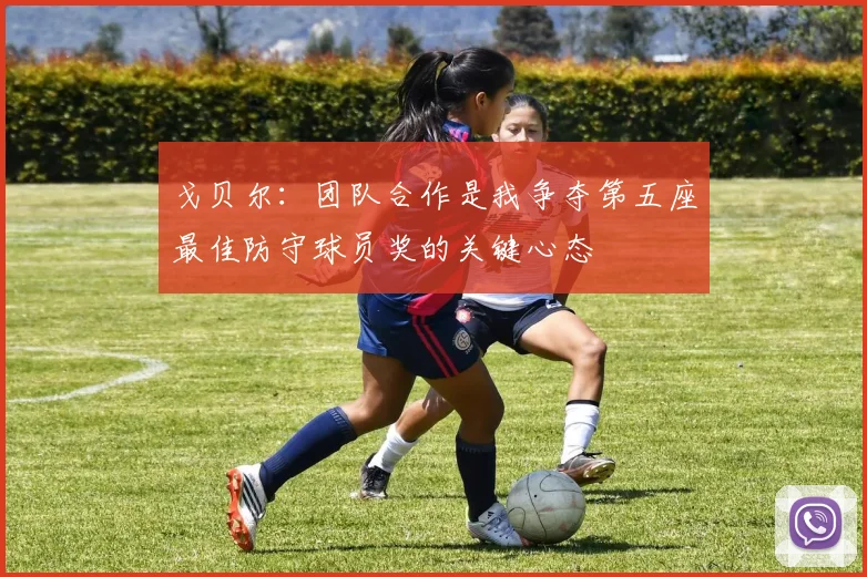 戈贝尔：团队合作是我争夺第五座最佳防守球员奖的关键心态