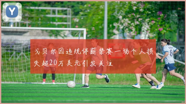 戈贝尔因违规停薪禁赛一场个人损失超20万美元引发关注