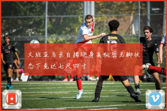 文班亚马亲自揭晓身高秘密光脚状态下竟达七尺四寸
