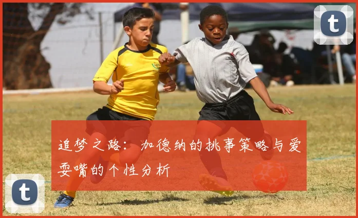 追梦之路：加德纳的挑事策略与爱耍嘴的个性分析