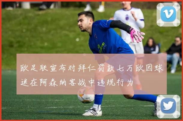 欧足联宣布对拜仁罚款七万欧因球迷在阿森纳客战中违规行为
